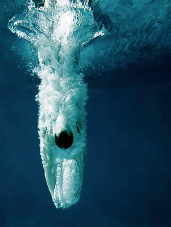diver through the water